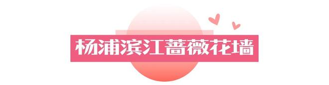 必一运动官方网站私藏一日约会道路个打卡点让TA心动一成天(图8)