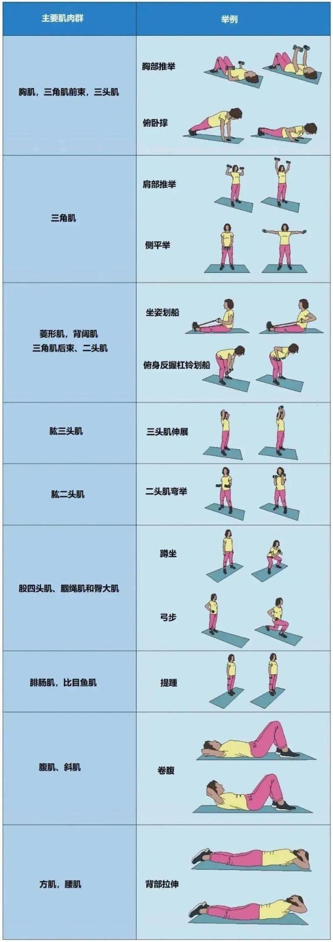 必一运动官方网站被低估了的“抗癌活动” 不是走路 抗阻活动明显抑止癌细胞(图2)